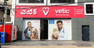 Vetic Pet Clinic The Best Animal Hospital Near You